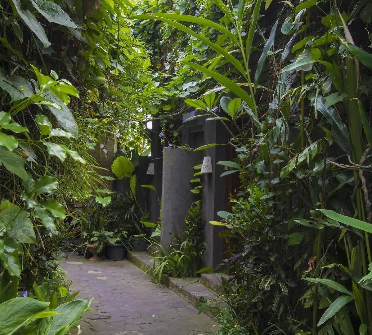 Ladera Villa Ubud