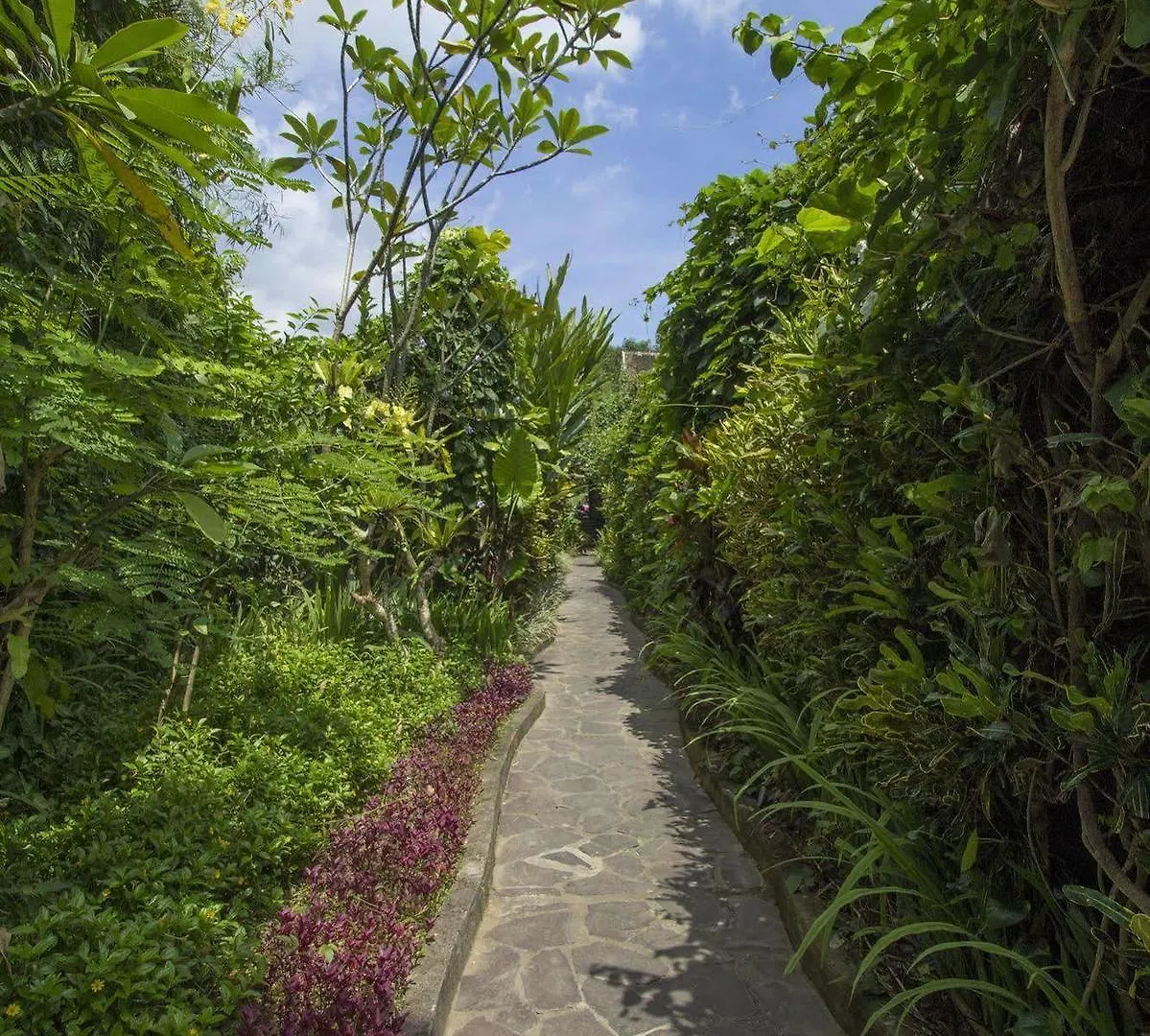 Ladera Villa Ubud 0*, Ουμπούντ Ινδονησία